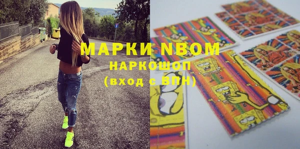хмурый Аркадак