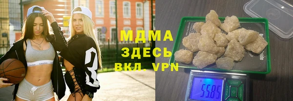 хмурый Аркадак