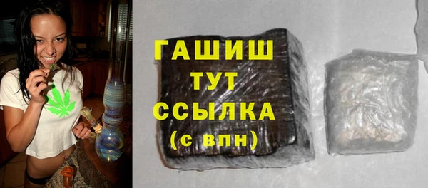 хмурый Аркадак