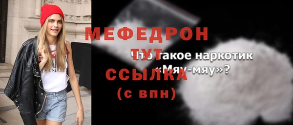 хмурый Аркадак
