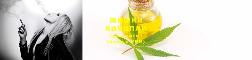 хмурый Аркадак