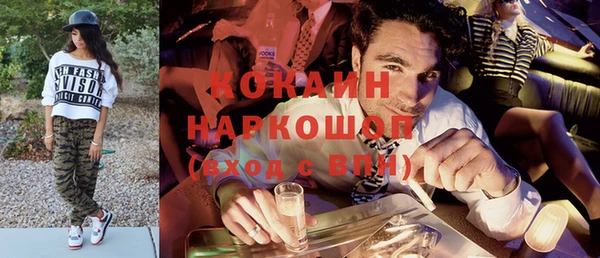 хмурый Аркадак